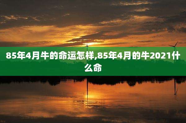 85年4月牛的命运怎样,85年4月的牛2021什么命
