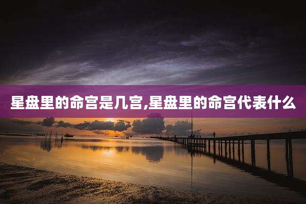 星盘里的命宫是几宫,星盘里的命宫代表什么
