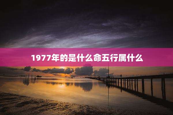 1977年的是什么命五行属什么
