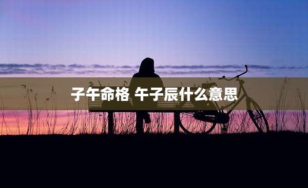 子午命格 午子辰什么意思