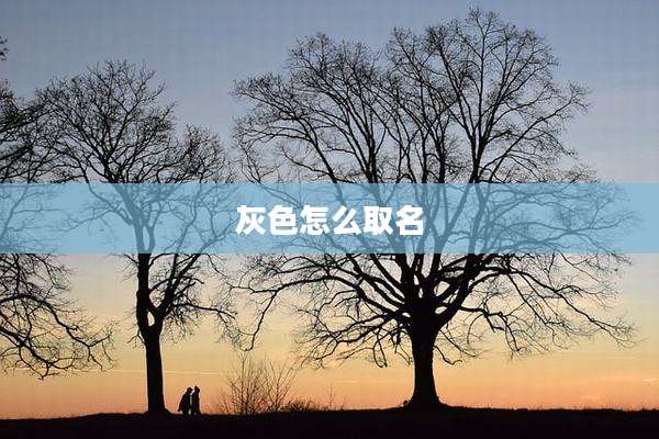 灰色怎么取名