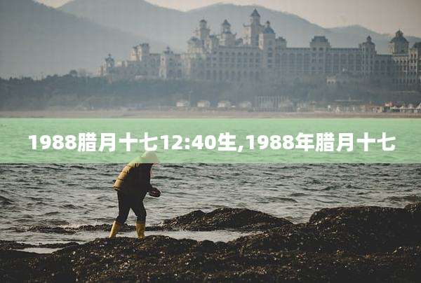 1988腊月十七12:40生,1988年腊月十七