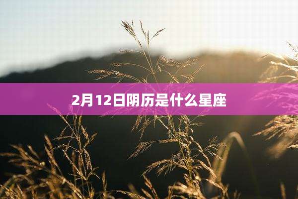 2月12日阴历是什么星座