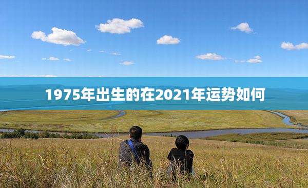 1975年出生的在2021年运势如何