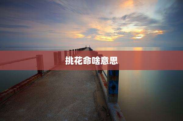 挑花命啥意思
