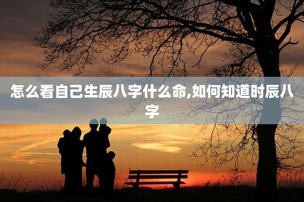 怎么看自己生辰八字什么命,如何知道时辰八字
