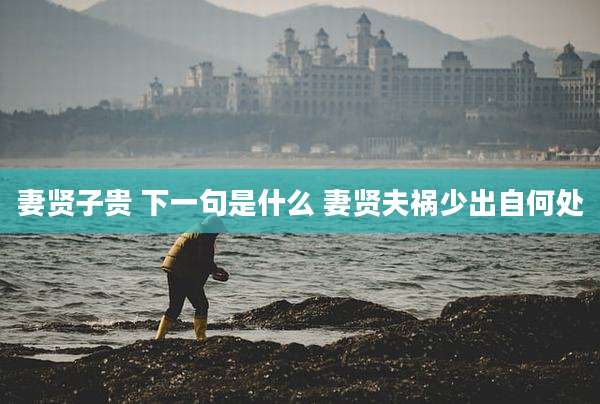 妻贤子贵 下一句是什么 妻贤夫祸少出自何处