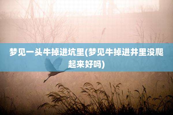 梦见一头牛掉进坑里(梦见牛掉进井里没爬起来好吗)
