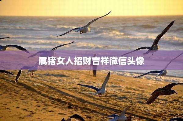 属猪女人招财吉祥微信头像