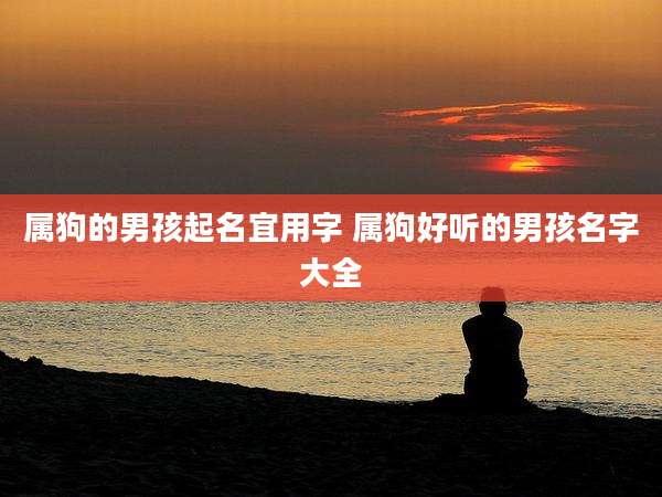属狗的男孩起名宜用字 属狗好听的男孩名字大全