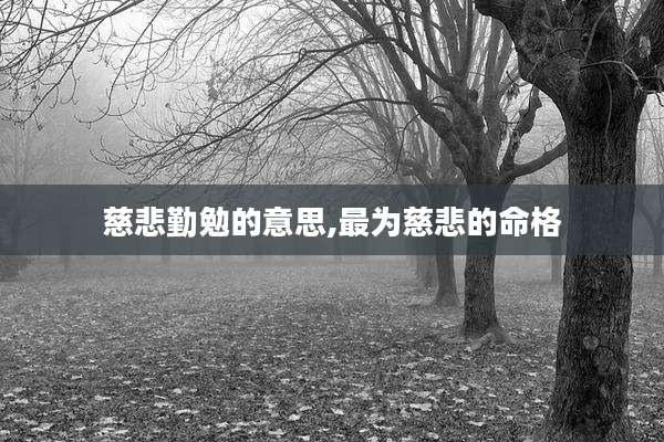 慈悲勤勉的意思,最为慈悲的命格