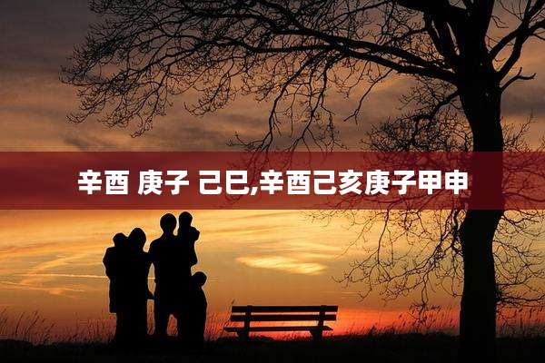 辛酉 庚子 己巳,辛酉己亥庚子甲申