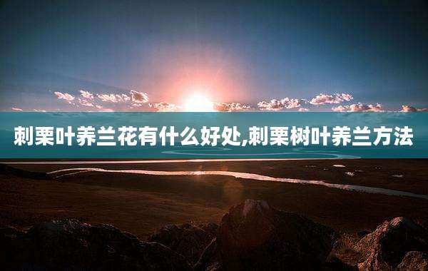 刺栗叶养兰花有什么好处,刺栗树叶养兰方法