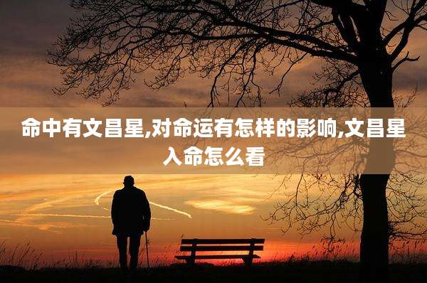 命中有文昌星,对命运有怎样的影响,文昌星入命怎么看