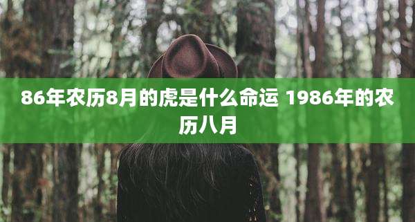 86年农历8月的虎是什么命运 1986年的农历八月