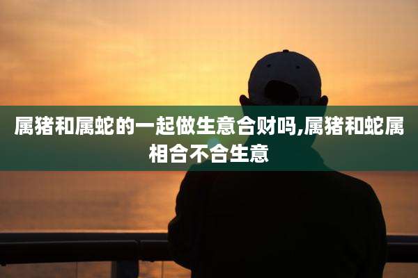 属猪和属蛇的一起做生意合财吗,属猪和蛇属相合不合生意
