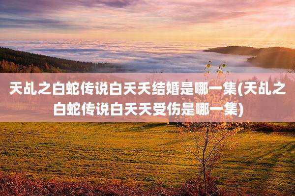 天乩之白蛇传说白夭夭结婚是哪一集(天乩之白蛇传说白夭夭受伤是哪一集)