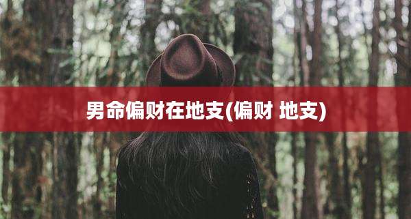 男命偏财在地支(偏财 地支)