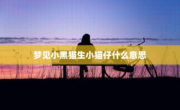 梦见小黑猫生小猫仔什么意思