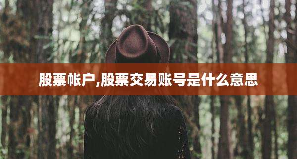 股票帐户,股票交易账号是什么意思