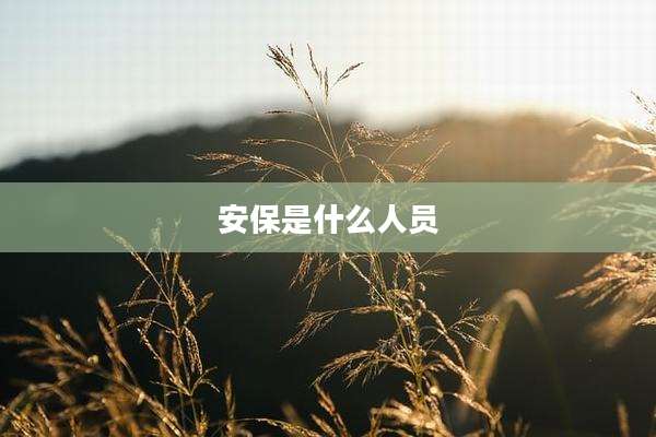 安保是什么人员