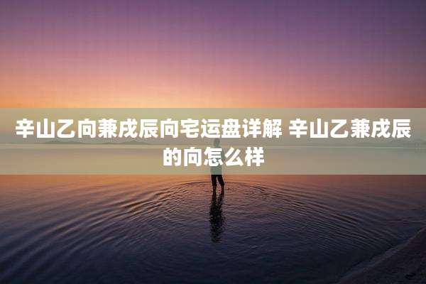 辛山乙向兼戌辰向宅运盘详解 辛山乙兼戌辰的向怎么样