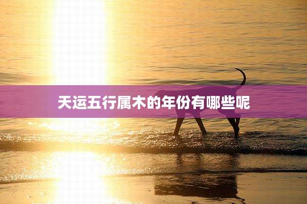 天运五行属木的年份有哪些呢