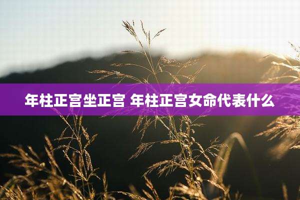 年柱正宫坐正宫 年柱正宫女命代表什么