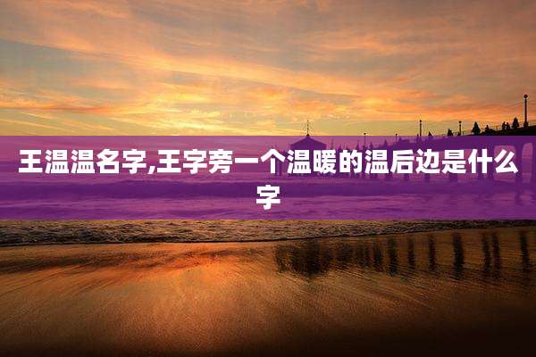 王温温名字,王字旁一个温暖的温后边是什么字