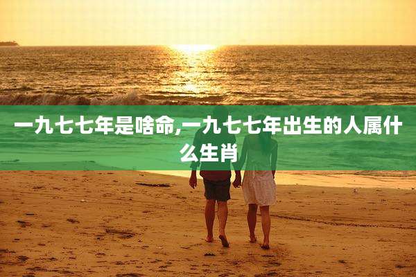 一九七七年是啥命,一九七七年出生的人属什么生肖