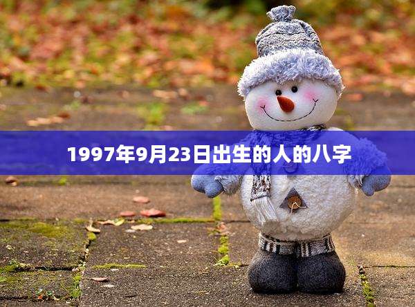 1997年9月23日出生的人的八字