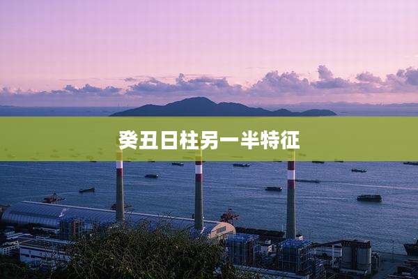 癸丑日柱另一半特征
