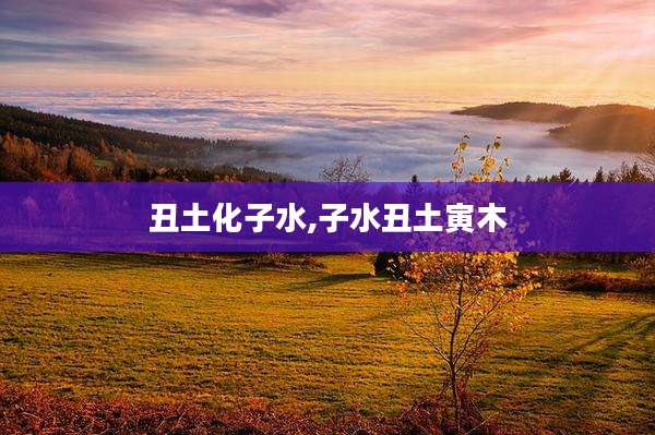 丑土化子水,子水丑土寅木