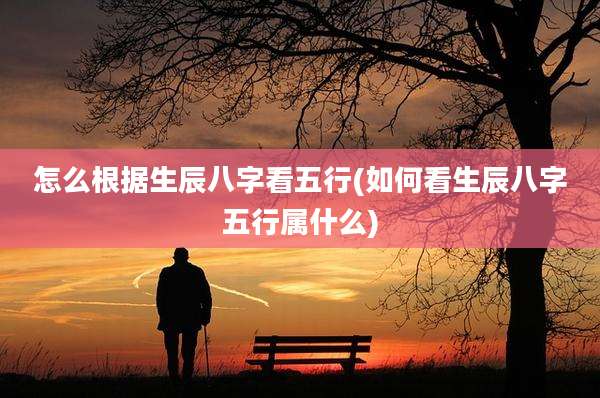 怎么根据生辰八字看五行(如何看生辰八字五行属什么)
