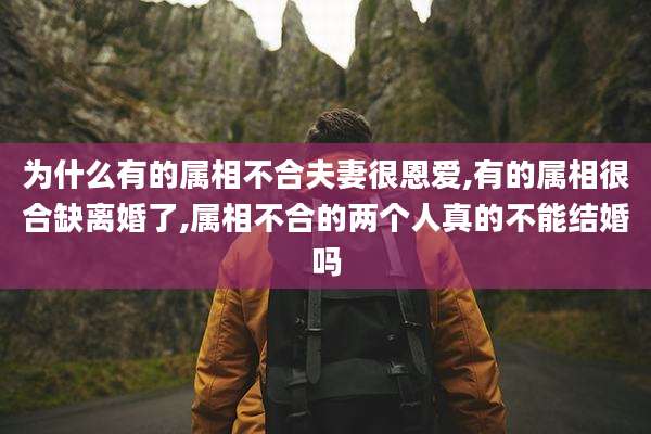 为什么有的属相不合夫妻很恩爱,有的属相很合缺离婚了,属相不合的两个人真的不能结婚吗