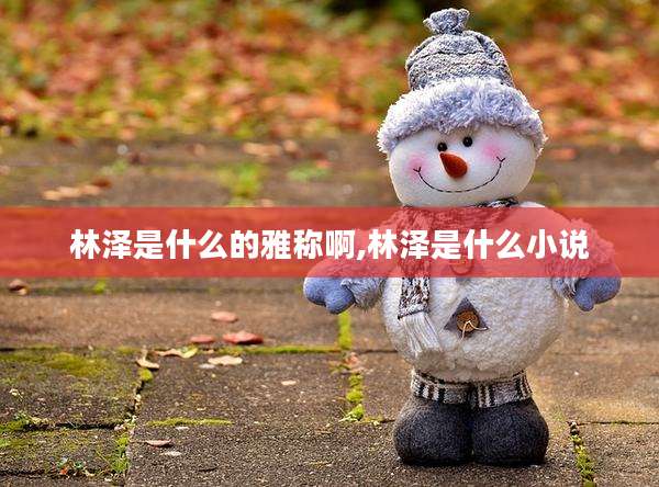 林泽是什么的雅称啊,林泽是什么小说