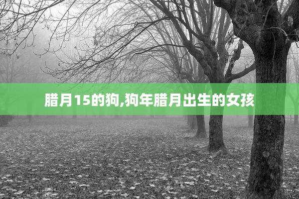 腊月15的狗,狗年腊月出生的女孩