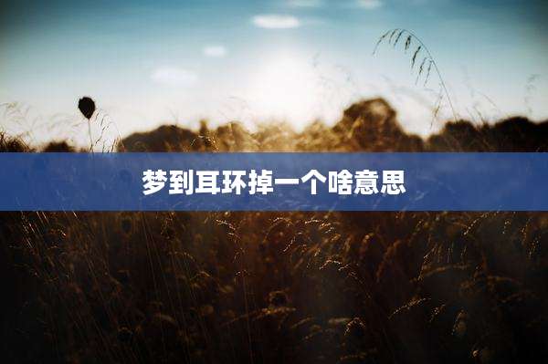 梦到耳环掉一个啥意思