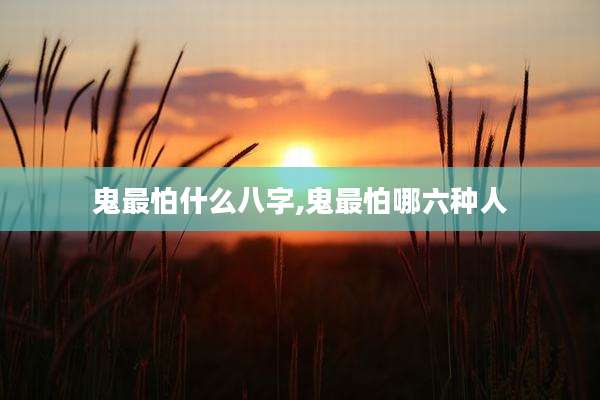 鬼最怕什么八字,鬼最怕哪六种人