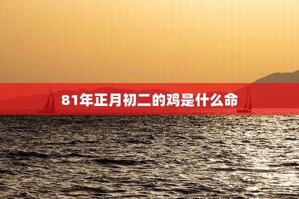81年正月初二的鸡是什么命