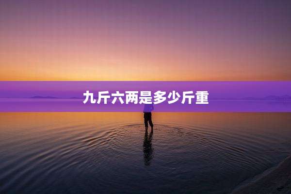 九斤六两是多少斤重