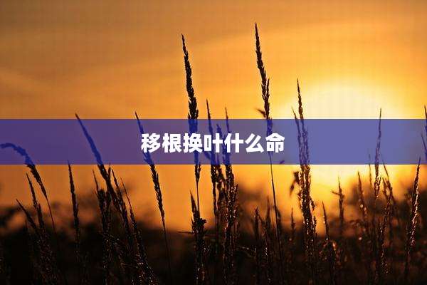 移根换叶什么命