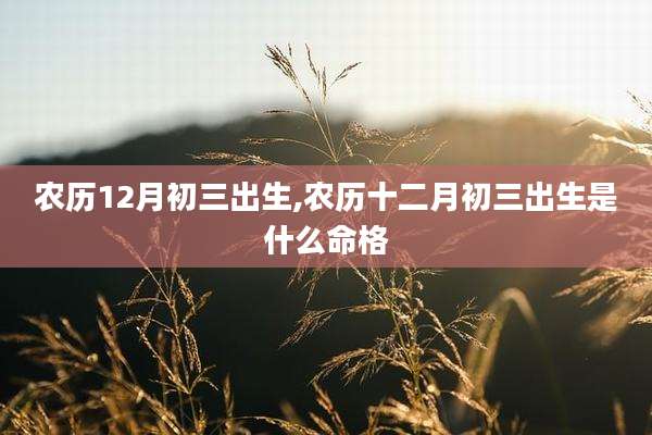 农历12月初三出生,农历十二月初三出生是什么命格