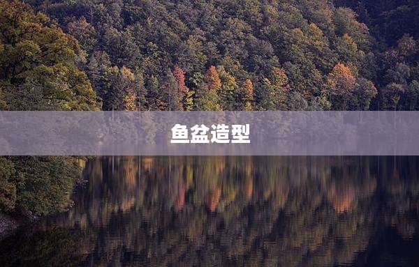鱼盆造型