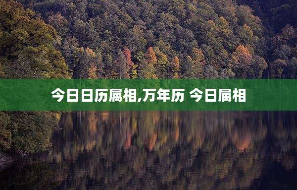 今日日历属相,万年历 今日属相