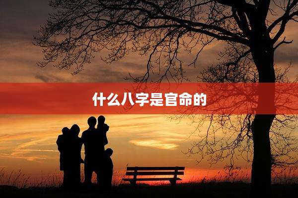什么八字是官命的