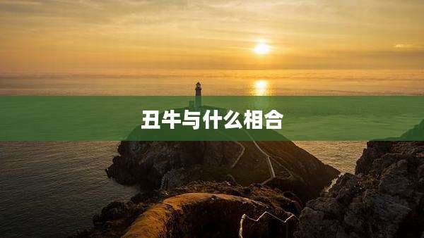 丑牛与什么相合