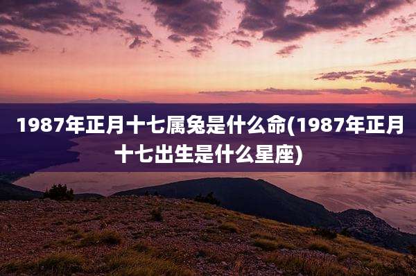 1987年正月十七属兔是什么命(1987年正月十七出生是什么星座)