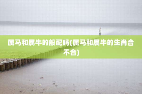 属马和属牛的般配吗(属马和属牛的生肖合不合)