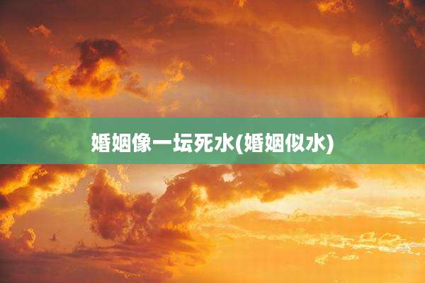婚姻像一坛死水(婚姻似水)